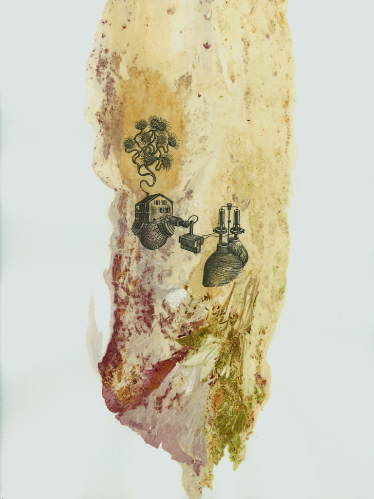 Leslie Fry. No. 5, Better Homes and Gardens series. Flower stains and residue, monoprint. 15” x 11”