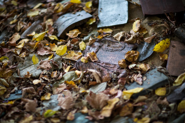 Book Leaves detail21