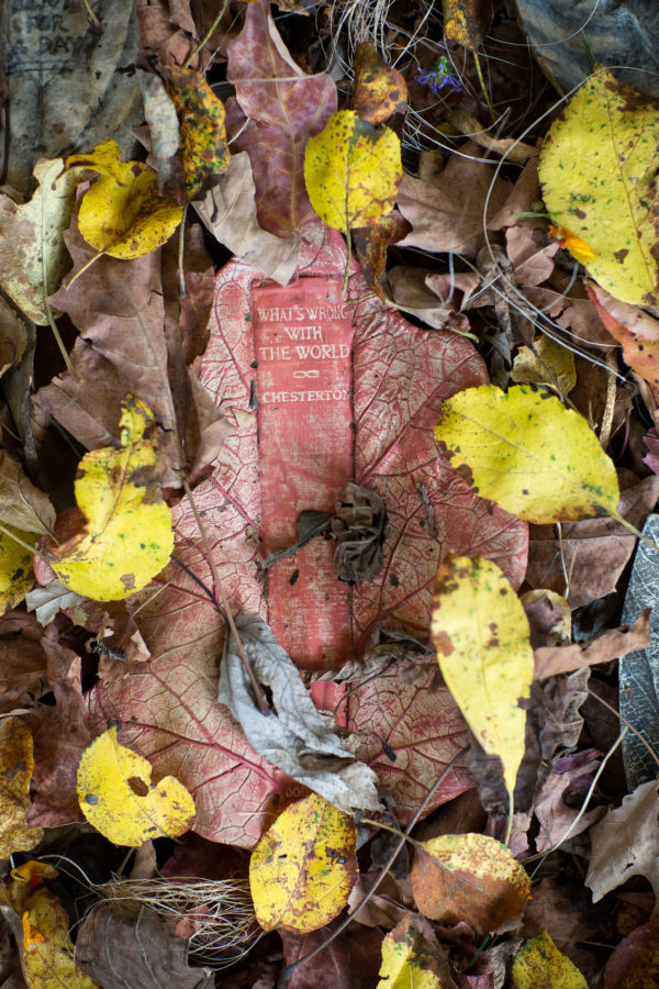 Book Leaves detail21