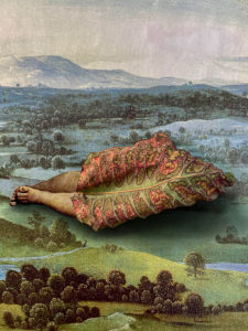 Leslie Fry. Leafscape 1. Aluminum print. 24"x18"