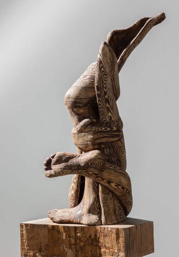 Would (detail)21