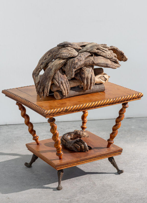Wood Pile21